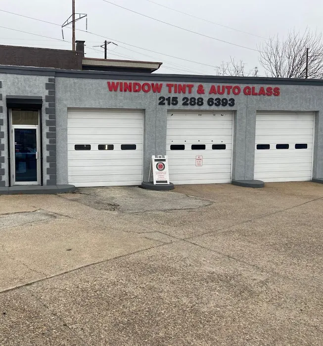 Mad Window Tint 1