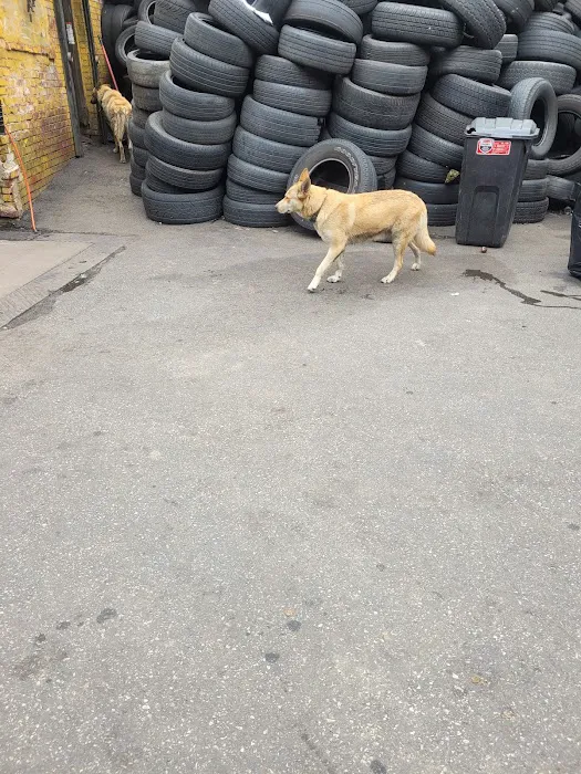 Joel's Tire Shop 6