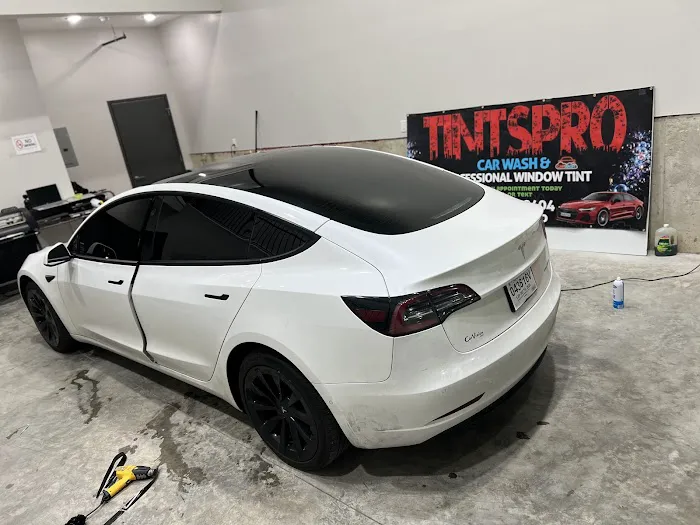 TINTSPRO X 2