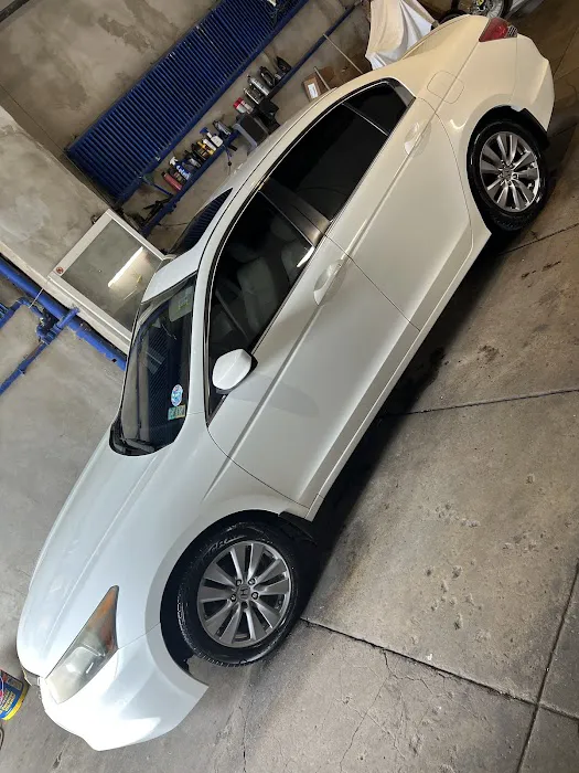 N.A.P.A.D 215 AUTO TINT 4