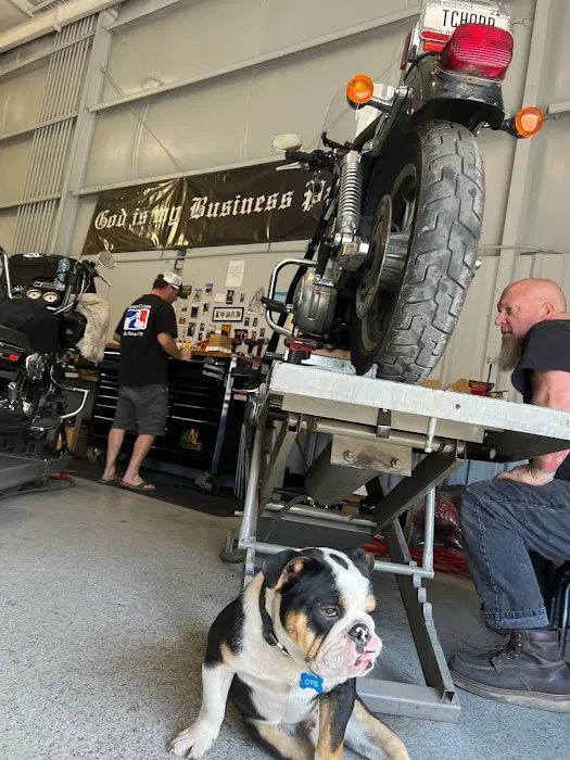 Mihali Cycles Havasu 4