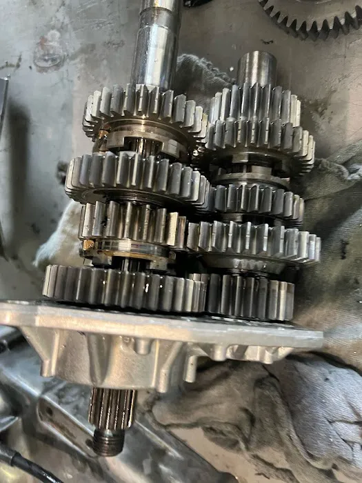 Mihali Cycles Havasu 7