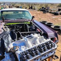 Wild Willy's Automotive LLC