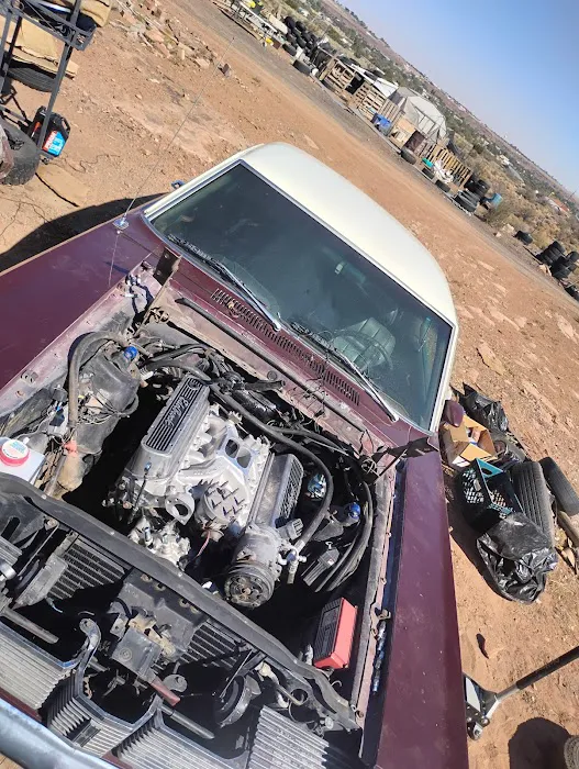 Wild Willy's Automotive LLC 8