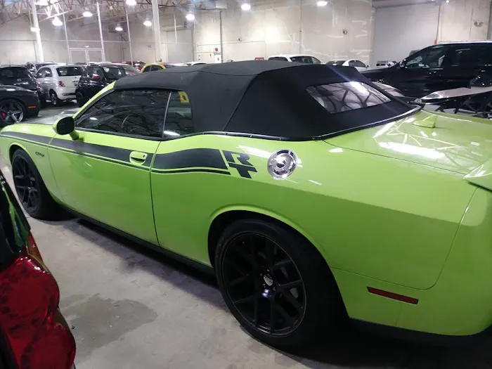The Tint Shop Kingman 5