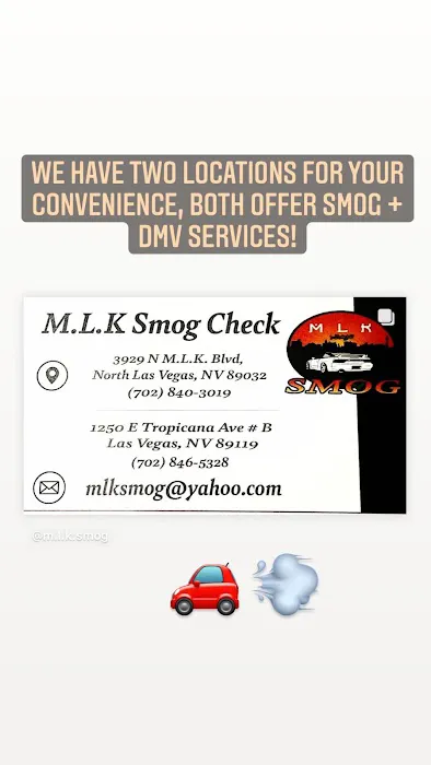 M.L.K SMOG CHECK 7