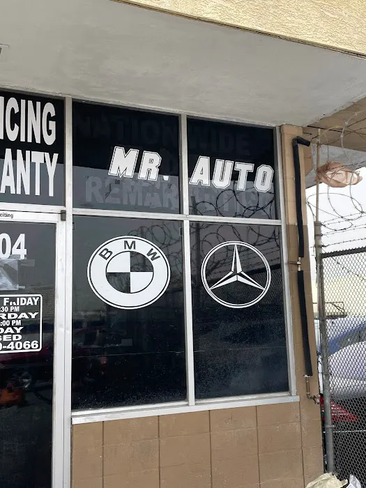 Mr. Auto Repair 1