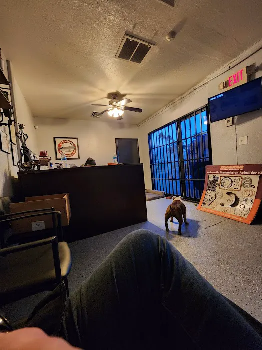 Las Vegas Transmission Co 6