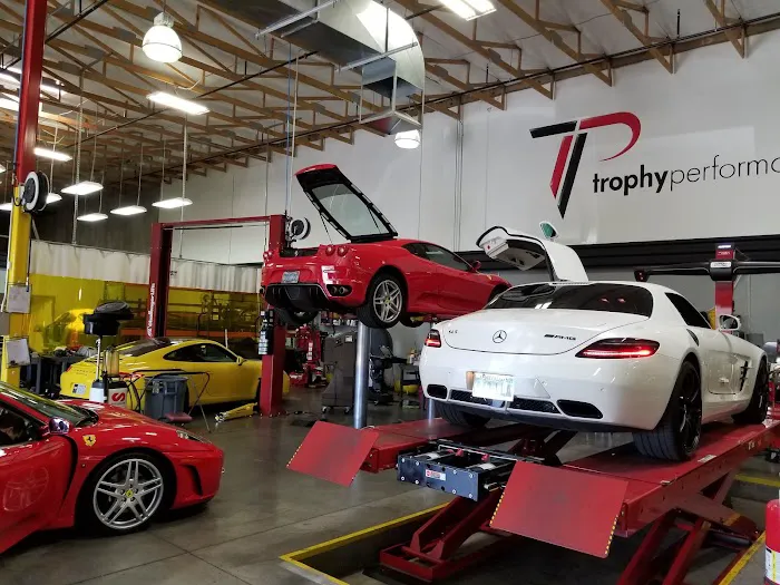 Trophy Performance 6