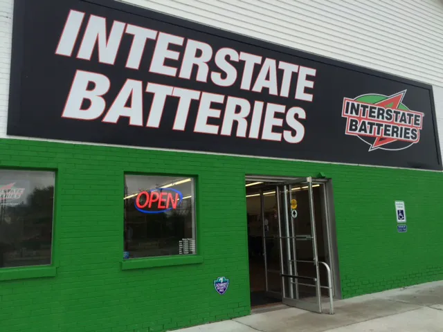 Interstate Batteries 6
