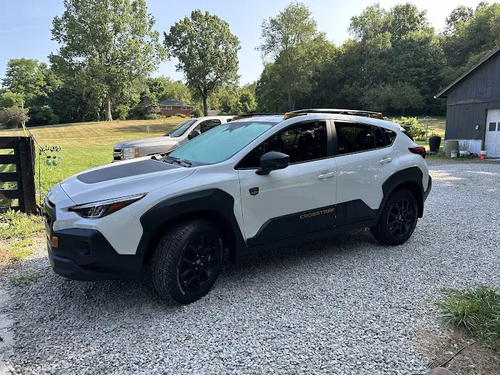 The Man Behind the Tint 4