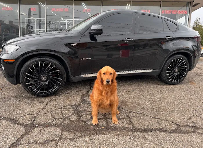 Mansfield Tire Bros 5