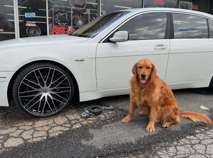 Mansfield Tire Bros 8