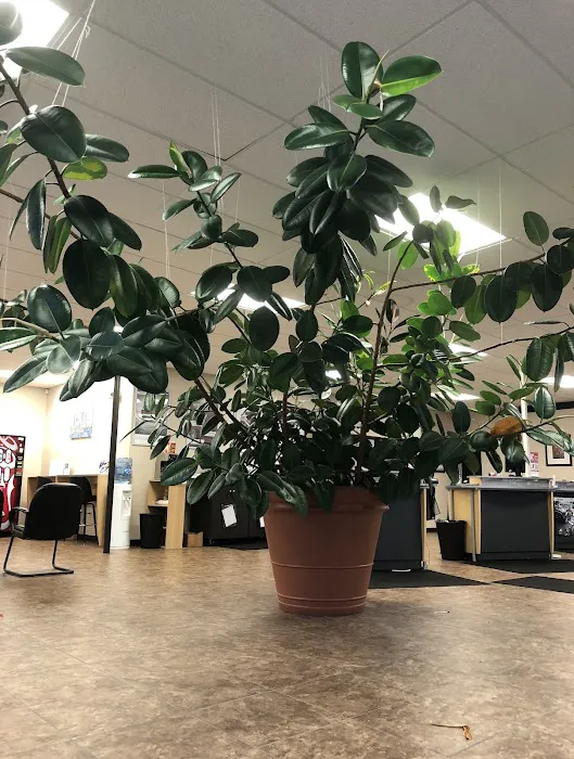 Grismer Tire & Auto Service Center 9