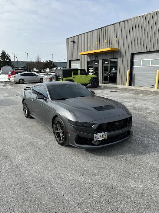 MO TINT 3
