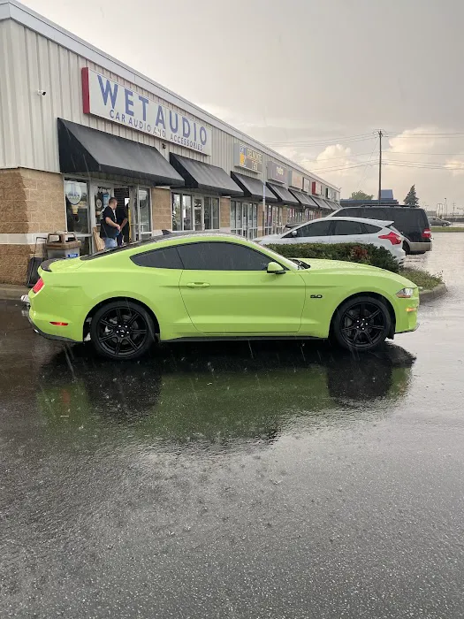 Tint Time 7