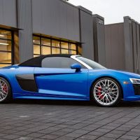 Platinum Paint Protection
