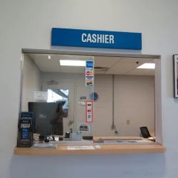 Bush Auto Place Service Center ico
