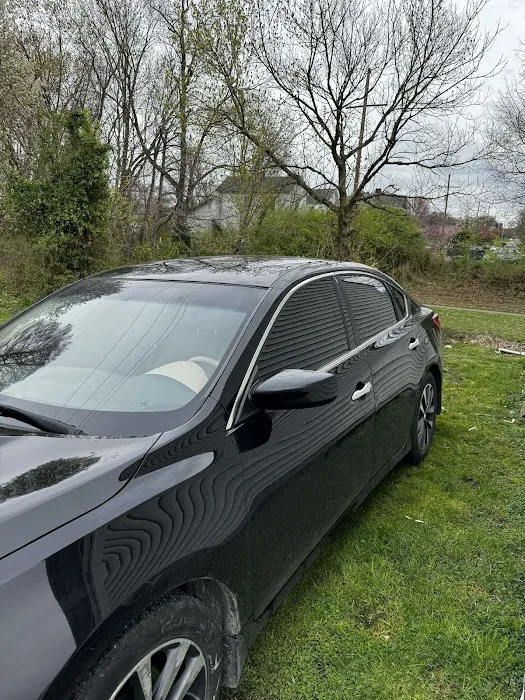 Envied Autostyling 4
