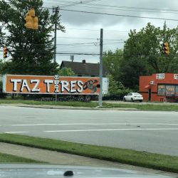 Taz Tires Harrisburg Pike ico