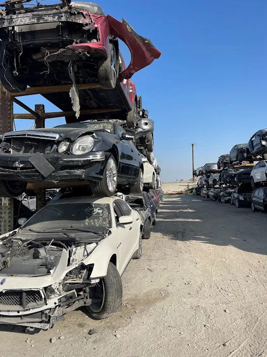 All Auto Parts 3