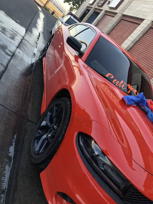 Calishade_tintshop 1