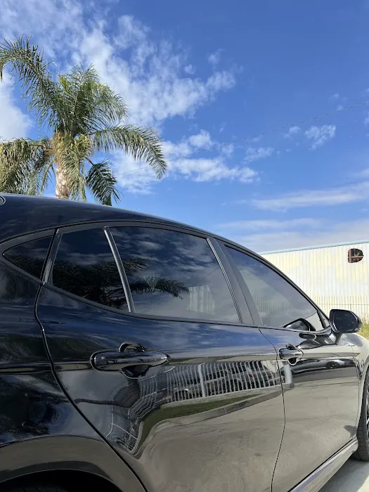 Tint Division Window Films 0