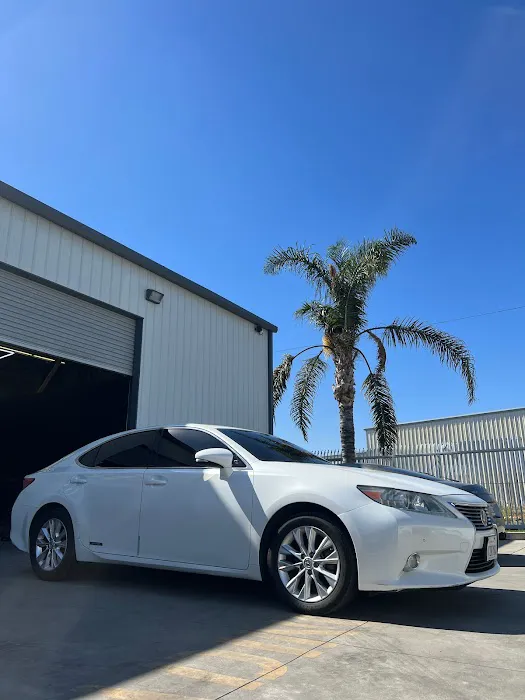 Tint Division Window Films 5