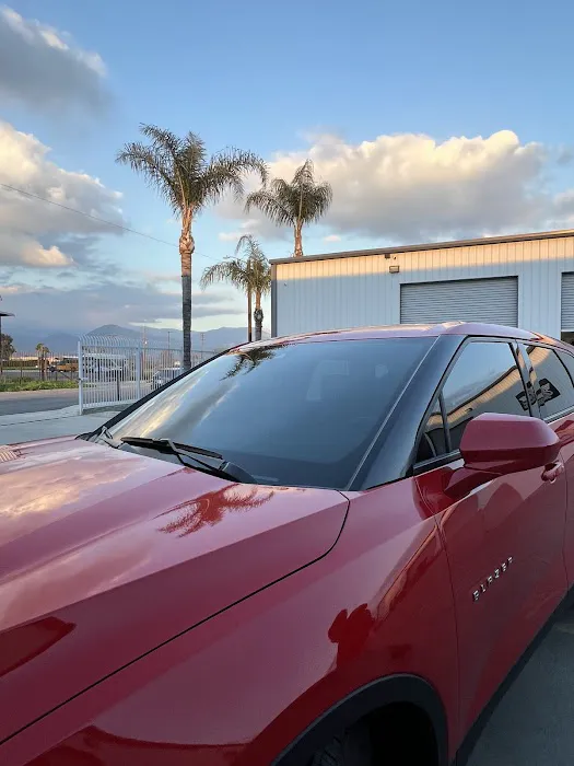 Tint Division Window Films 6