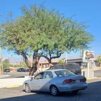 Eddie's Smog & Repair