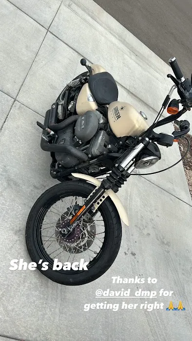 DMP Motorsports 6
