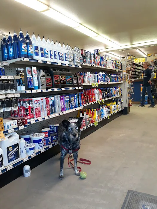 NAPA Auto Parts - Auto Parts of Anza 1