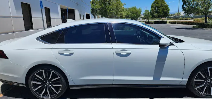 Dynamik Tint 1