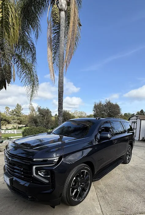 Dynamik Tint 8
