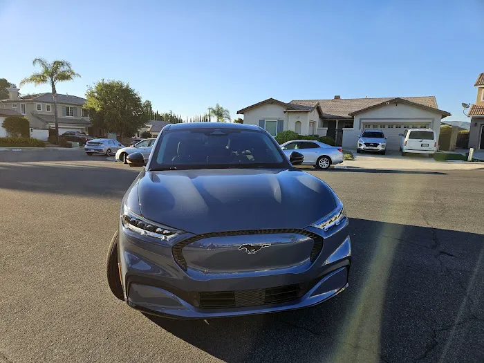 Dynamik Tint 5