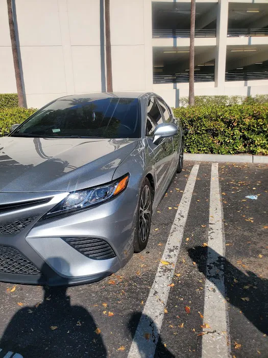 Dynamik Tint 9