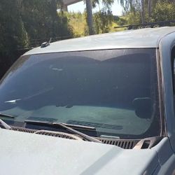 4M Auto Glass ico