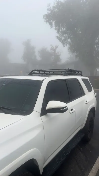 Kingdom Tint, PPF and Ceramic Coatings 8