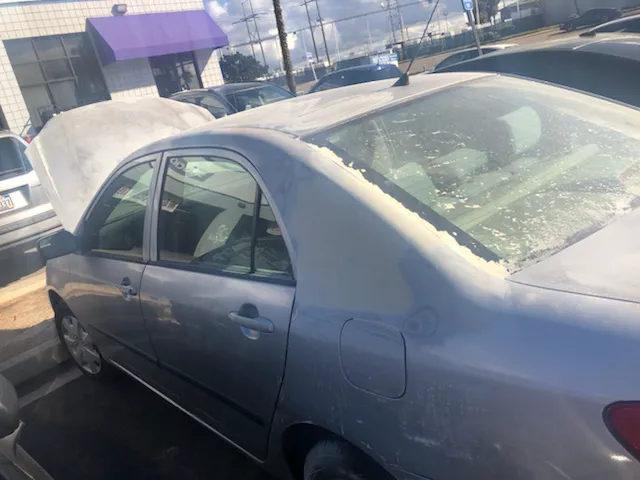 Jilani Auto Body 1