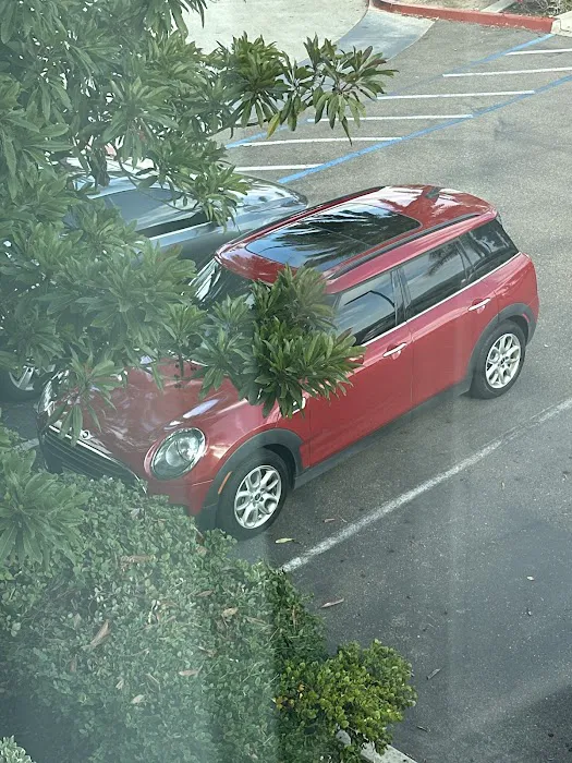 MINI of San Diego Service and Parts 6