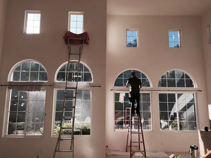 Premium Window Tinting 7