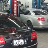 San Diego Performance European