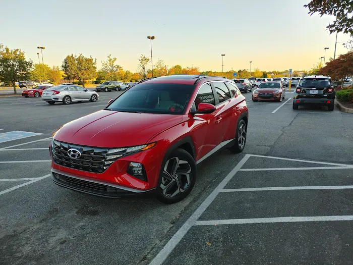 Sundown Tint 5