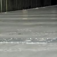 Pro-Service Trailer Repair