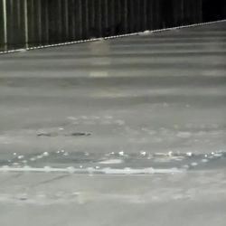 Pro-Service Trailer Repair ico