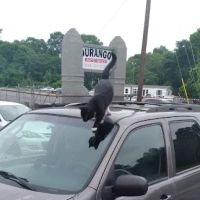 Ruiz Tires & Auto Services