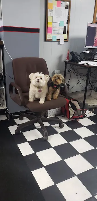 Stegall's Transmission Specialist, Inc. 0