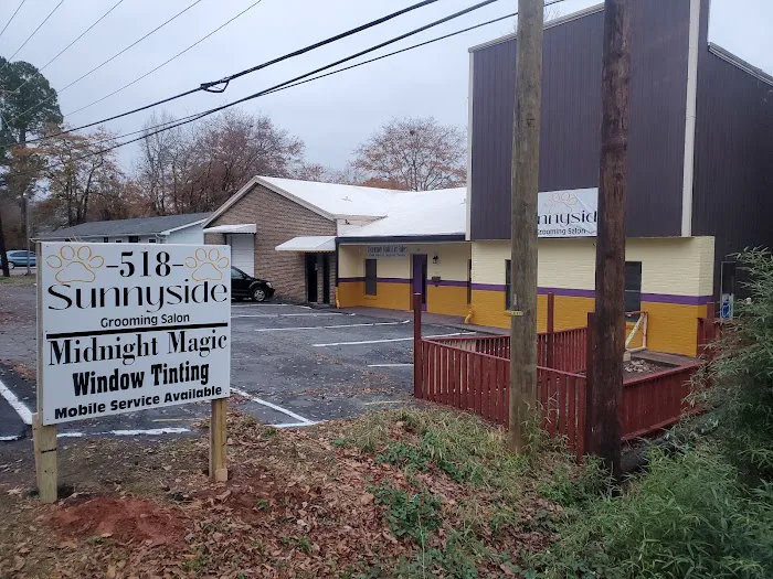 Midnight Magic Window Tinting 1