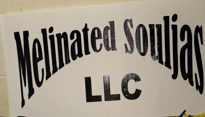 Melinated Souljas LLC 3