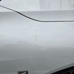 East Coast Custom Paint & Body Shop ico